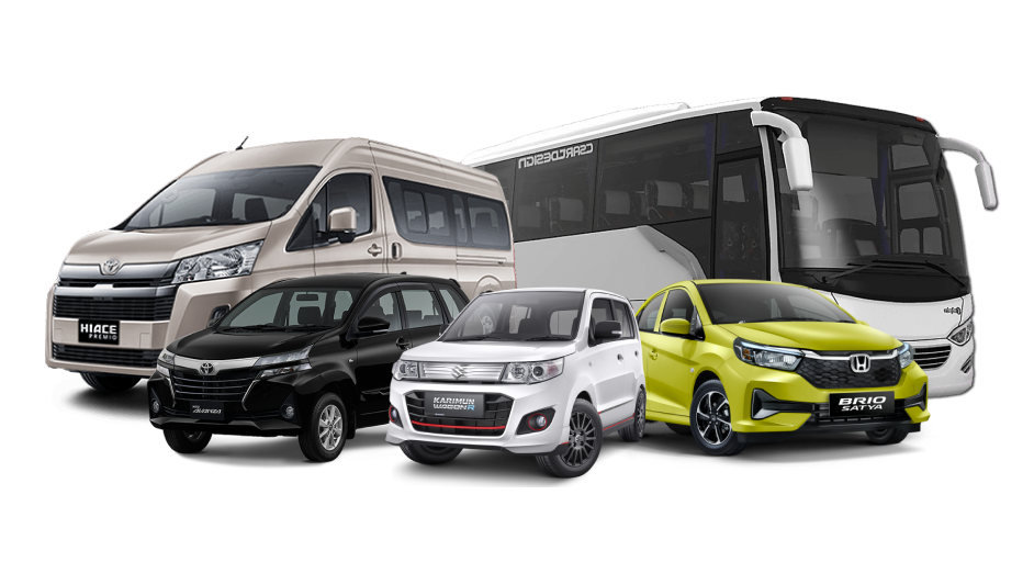 Car Rental